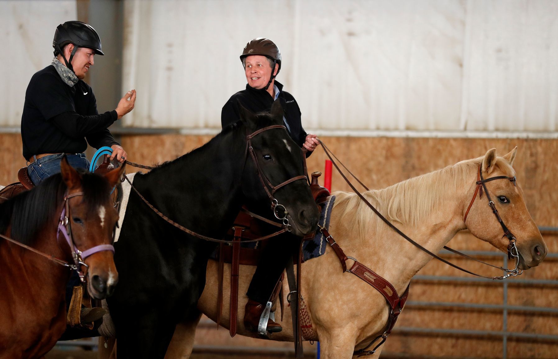 Horses Spirits Healing